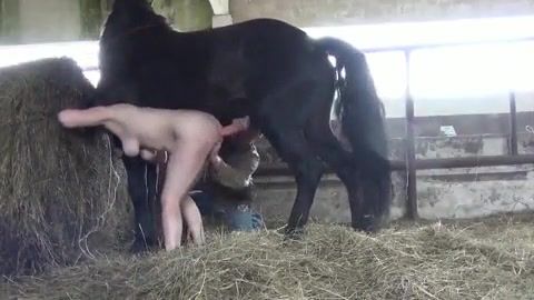 Секс С Конем Видео Бесплатно Секс С Конем Видео Бесплатно