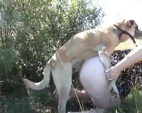 Зоо Тим Раша, порно русской шлюхи на природе с собакой