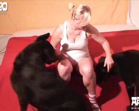 Kerstin hot sessions. Mom and dogs artofzoo porn
